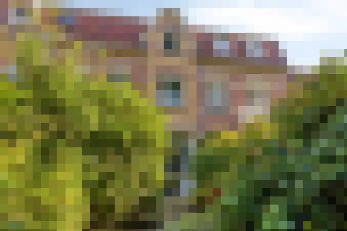 Wipstrikkerallee 39 Zwolle thumbnail 29