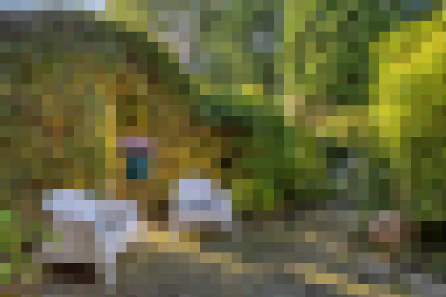Wipstrikkerallee 39 Zwolle thumbnail 30