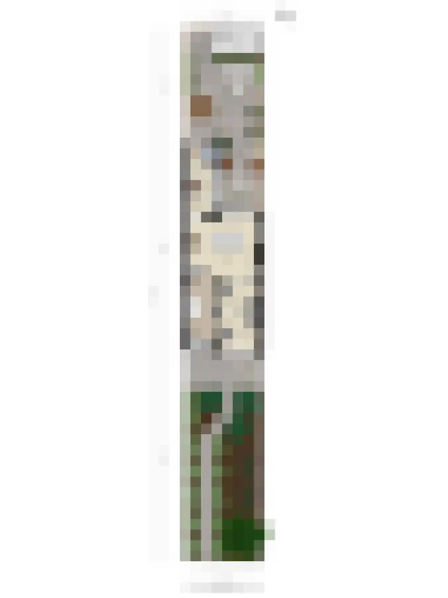 Wipstrikkerallee 39 Zwolle thumbnail 32