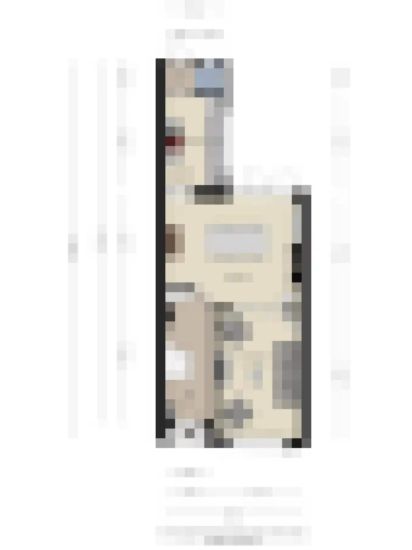 Wipstrikkerallee 39 Zwolle thumbnail 34