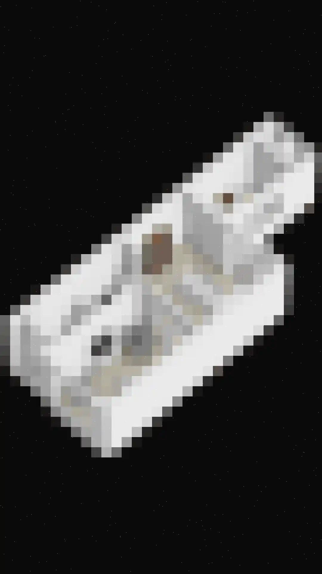 Wipstrikkerallee 39 Zwolle thumbnail 35