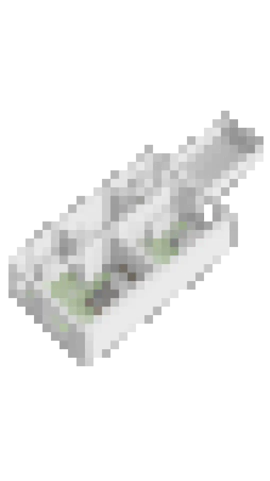 Wipstrikkerallee 39 Zwolle thumbnail 37
