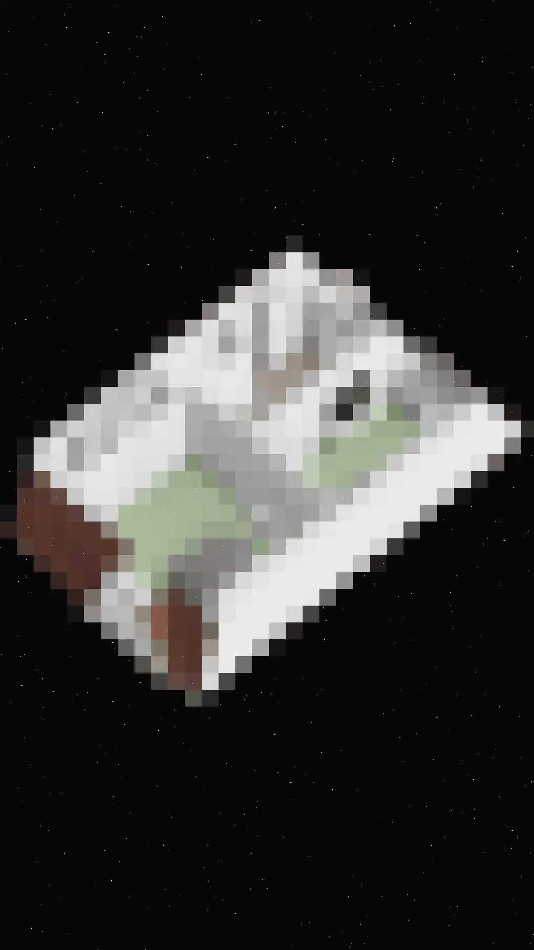 Wipstrikkerallee 39 Zwolle thumbnail 39