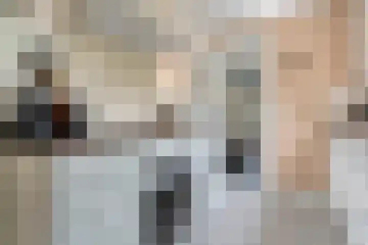 Wipstrikkerallee 41 Zwolle thumbnail 16