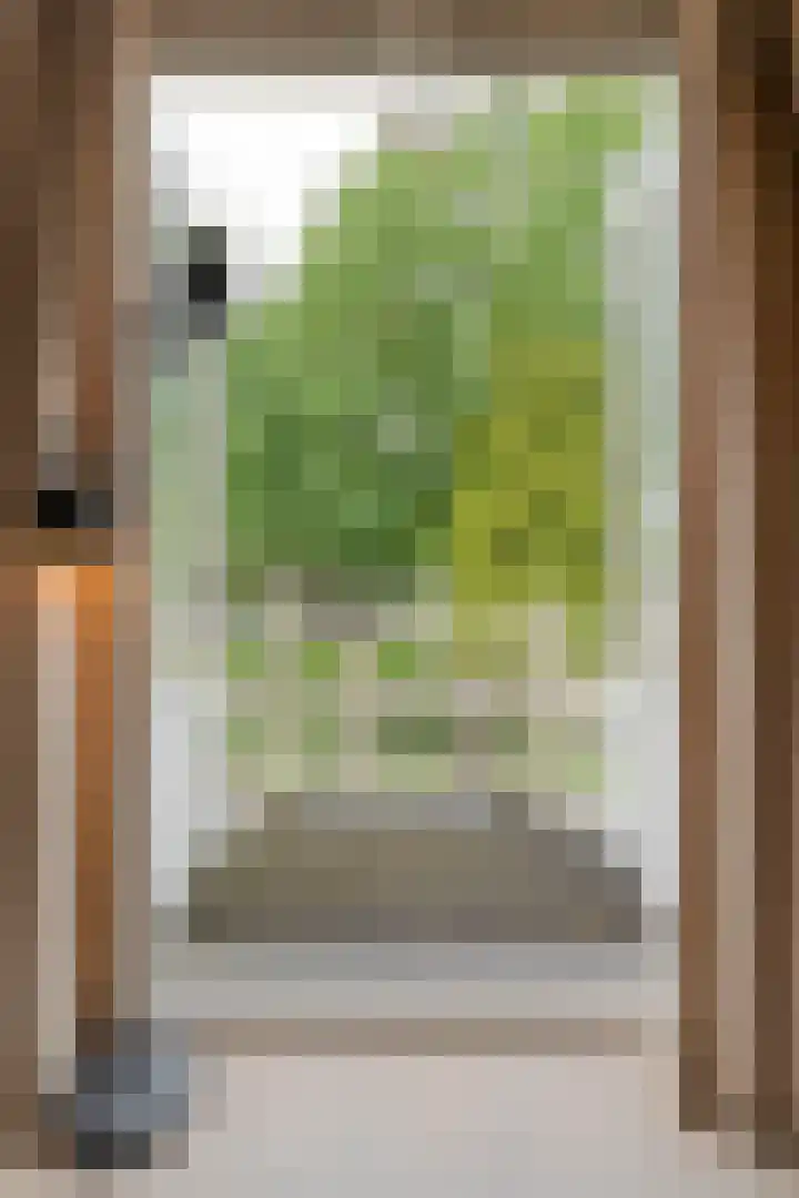Wipstrikkerallee 41 Zwolle thumbnail 21