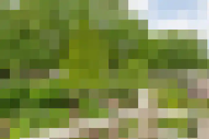 Wipstrikkerallee 41 Zwolle thumbnail 22
