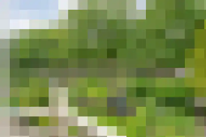 Wipstrikkerallee 41 Zwolle thumbnail 23