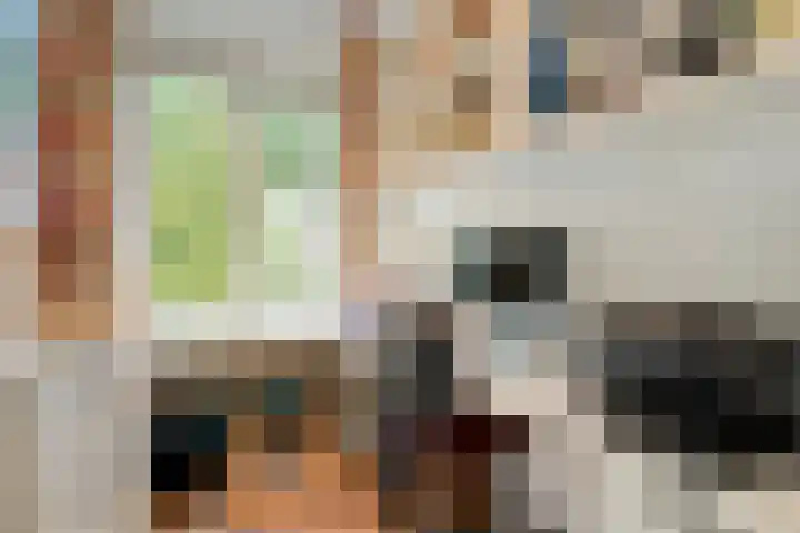 Wipstrikkerallee 41 Zwolle thumbnail 26