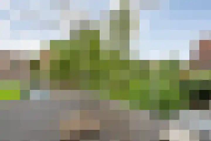 Wipstrikkerallee 41 Zwolle thumbnail 30