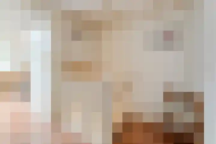 Wipstrikkerallee 41 Zwolle thumbnail 31