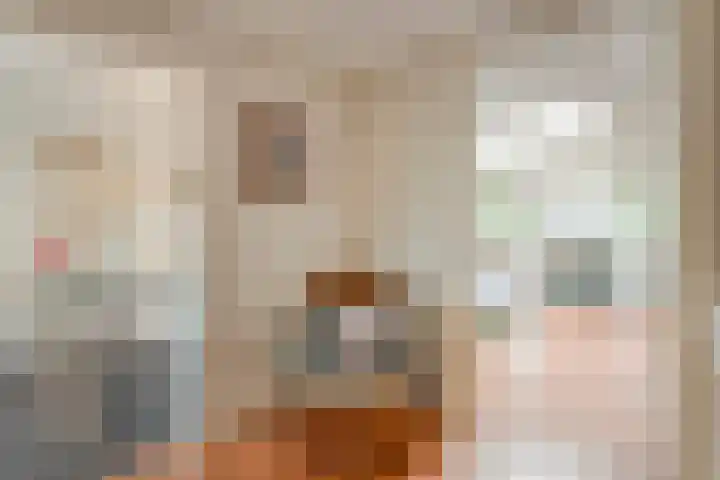Wipstrikkerallee 41 Zwolle thumbnail 32