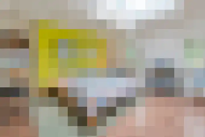Wipstrikkerallee 41 Zwolle thumbnail 33