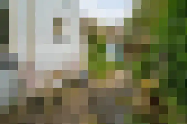 Wipstrikkerallee 41 Zwolle thumbnail 38