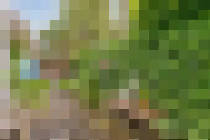 Wipstrikkerallee 41 Zwolle thumbnail 39