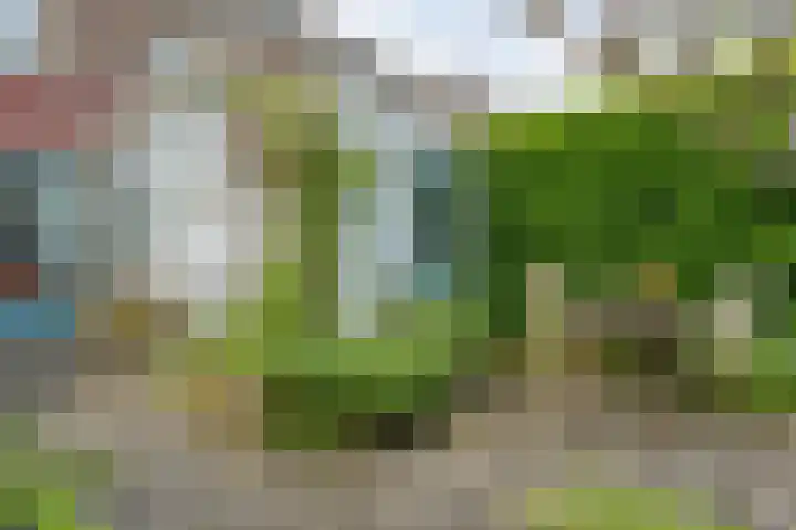 Wipstrikkerallee 41 Zwolle thumbnail 40