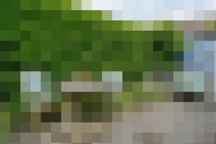 Wipstrikkerallee 41 Zwolle thumbnail 41