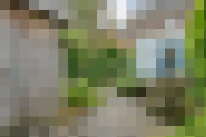 Wipstrikkerallee 41 Zwolle thumbnail 42