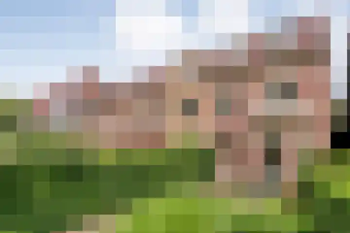 Wipstrikkerallee 41 Zwolle thumbnail 43
