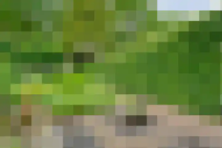 Wipstrikkerallee 41 Zwolle thumbnail 44