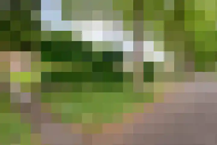 Wipstrikkerallee 41 Zwolle thumbnail 46
