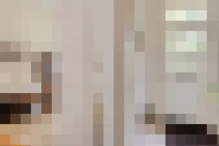 Wipstrikkerallee 41 Zwolle thumbnail 5