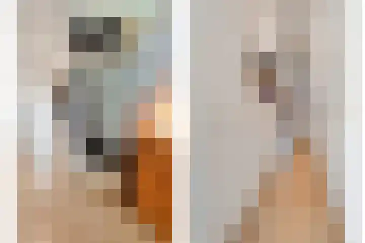 Wipstrikkerallee 41 Zwolle thumbnail 7
