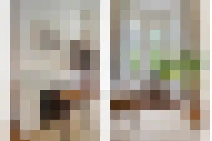 Wipstrikkerallee 41 Zwolle thumbnail 9