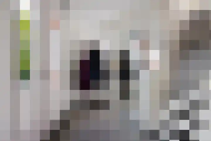 Wirdumerweg 27 Loppersum thumbnail 15