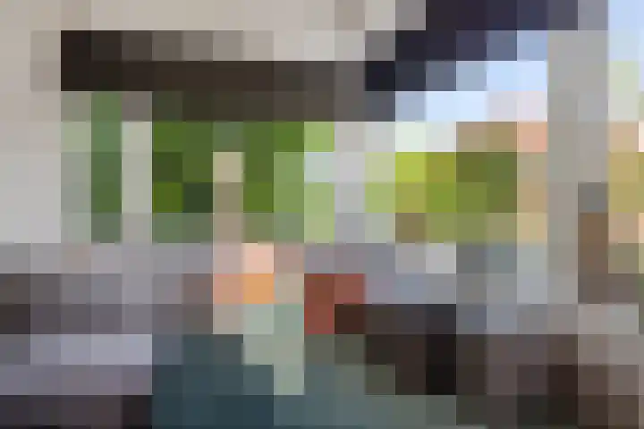 Wirdumerweg 27 Loppersum thumbnail 18