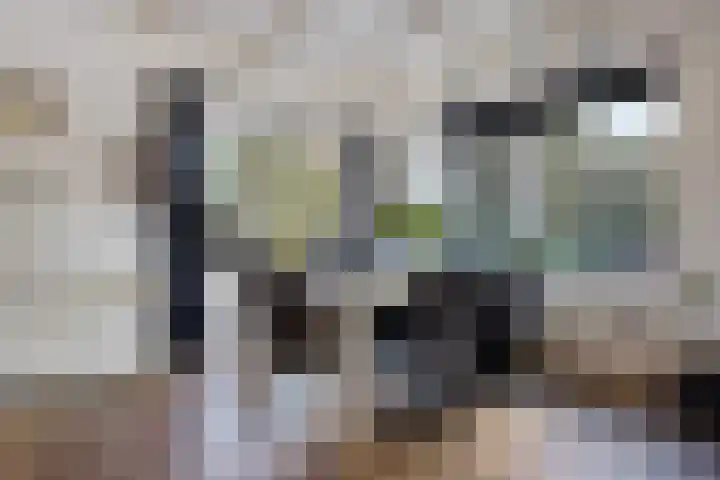 Wirdumerweg 27 Loppersum thumbnail 19