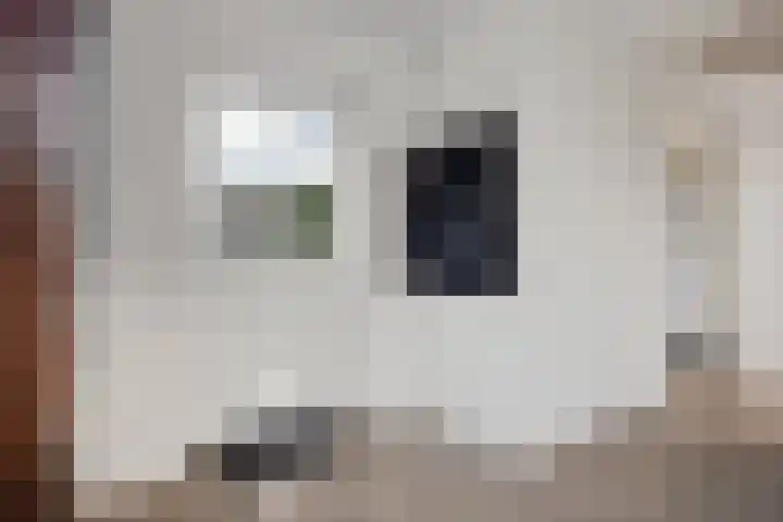 Wirdumerweg 27 Loppersum thumbnail 24
