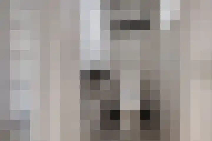Wirdumerweg 27 Loppersum thumbnail 26