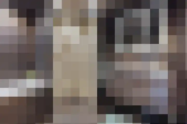 Wirdumerweg 27 Loppersum thumbnail 34