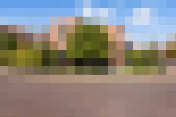 Wirdumerweg 27 Loppersum thumbnail 39