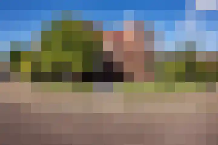 Wirdumerweg 27 Loppersum thumbnail 5