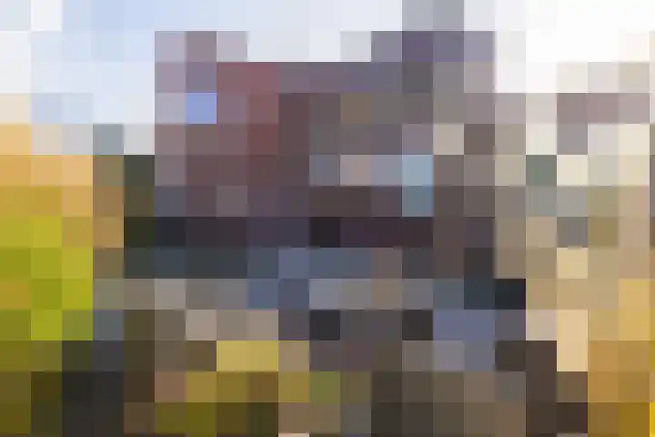 Wirdumerweg 27 Loppersum thumbnail 7