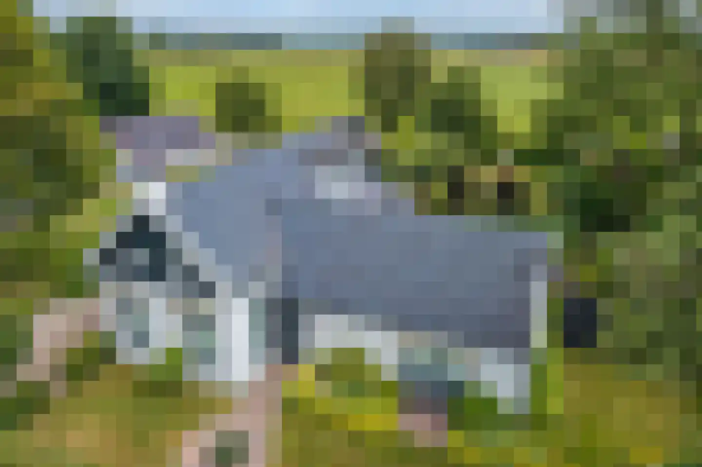 Wirdumerweg 63 Wirdum thumbnail 15