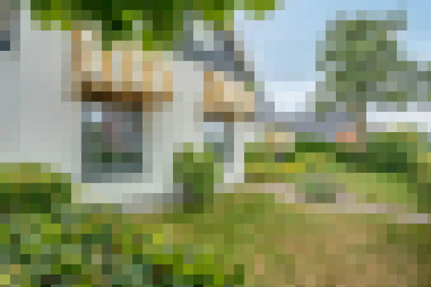 Wirdumerweg 63 Wirdum thumbnail 25