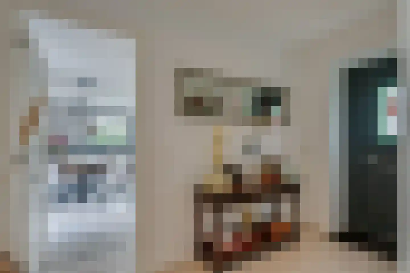 Wirdumerweg 63 Wirdum thumbnail 30