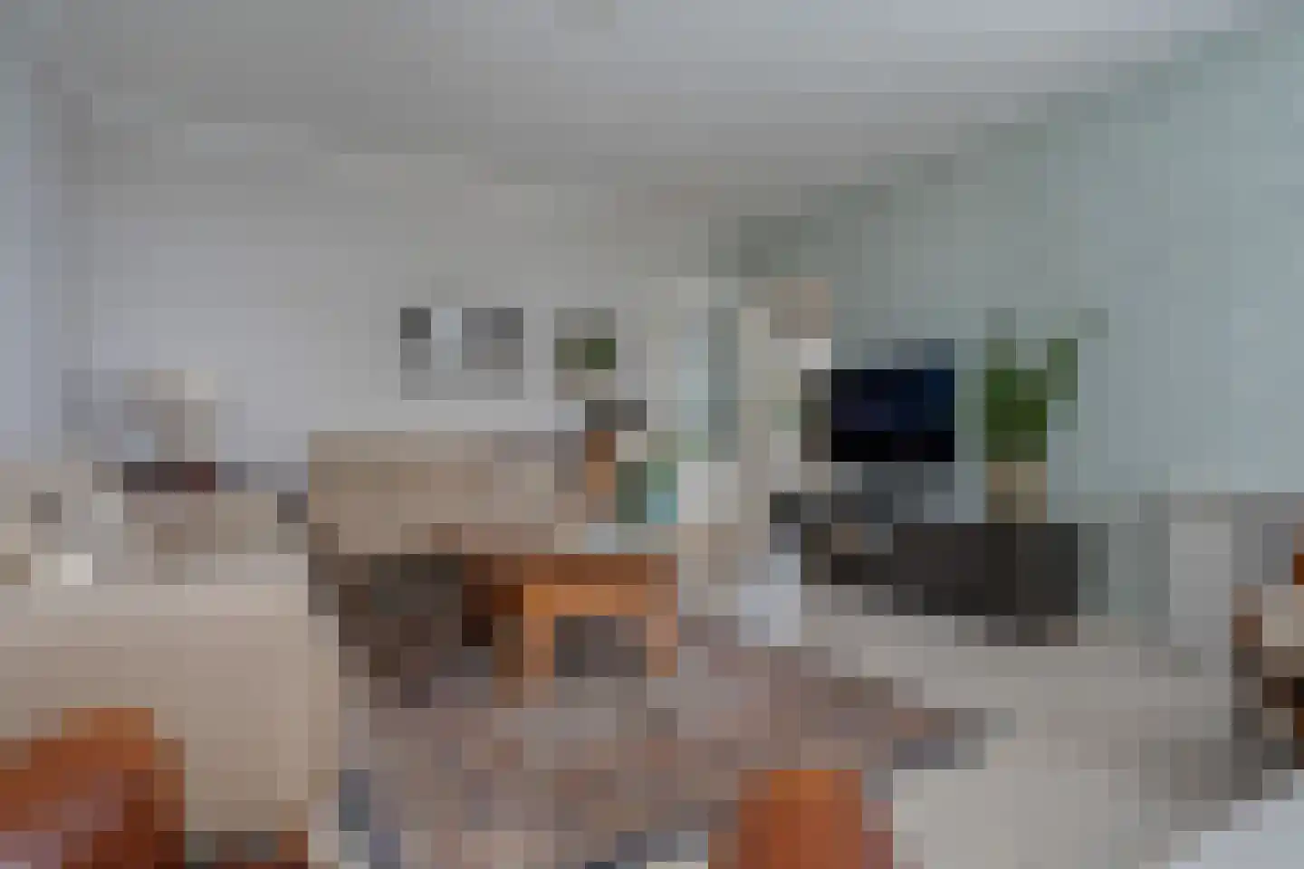 Wirdumerweg 63 Wirdum thumbnail 40