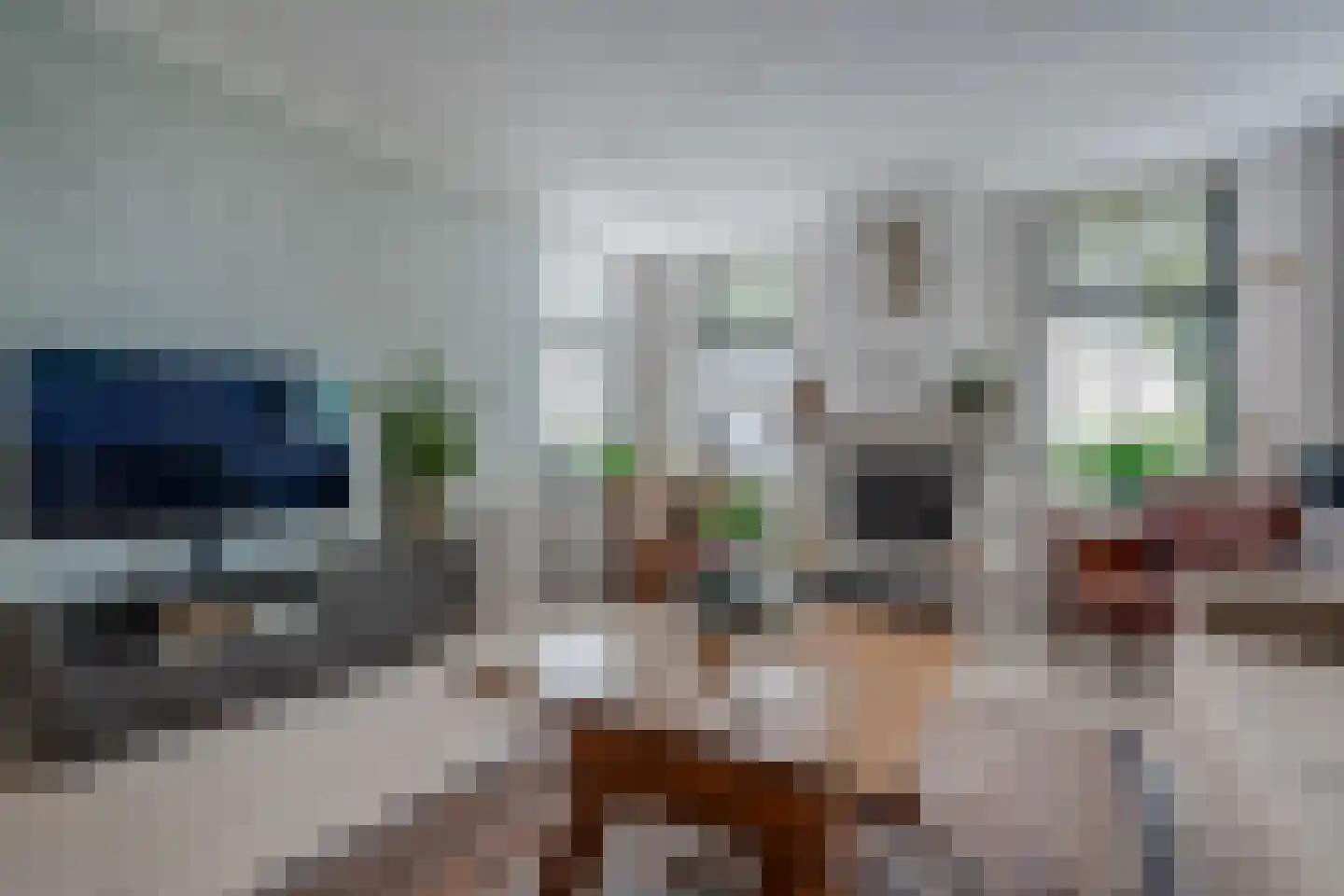 Wirdumerweg 63 Wirdum thumbnail 41