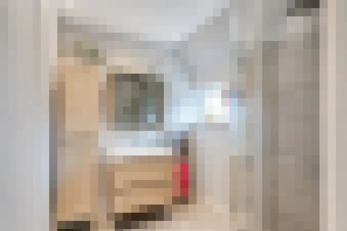 Wirdumerweg 63 Wirdum thumbnail 52