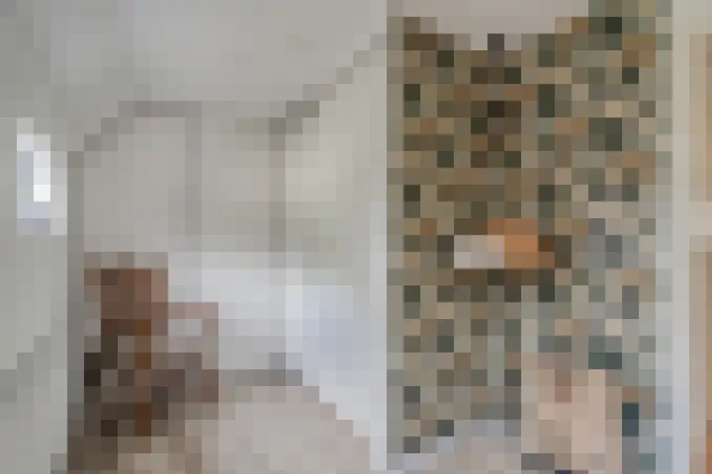 Wirdumerweg 63 Wirdum thumbnail 56