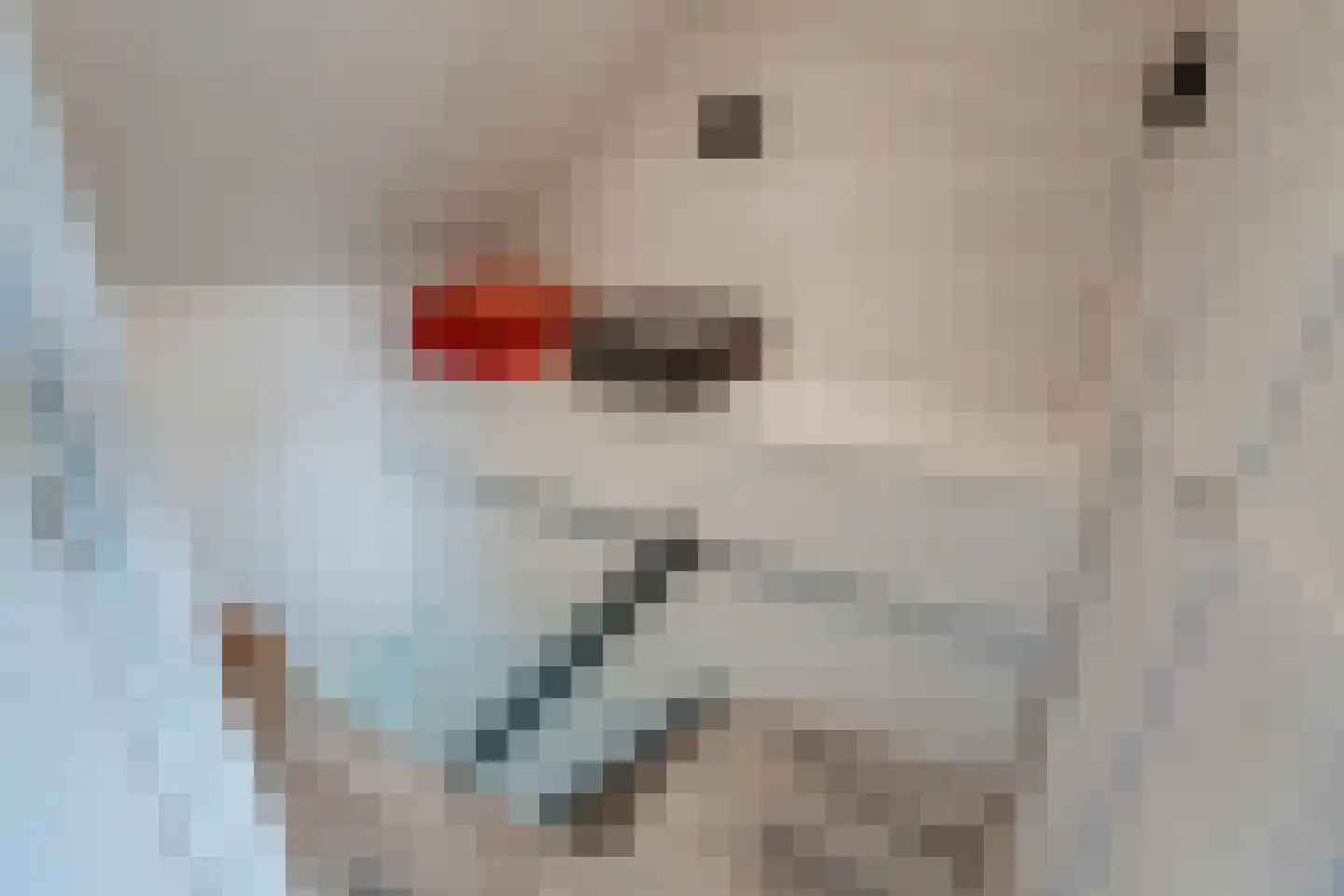 Wirdumerweg 63 Wirdum thumbnail 57