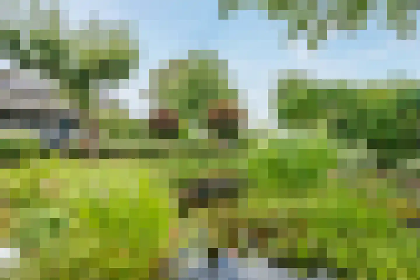 Wirdumerweg 63 Wirdum thumbnail 64