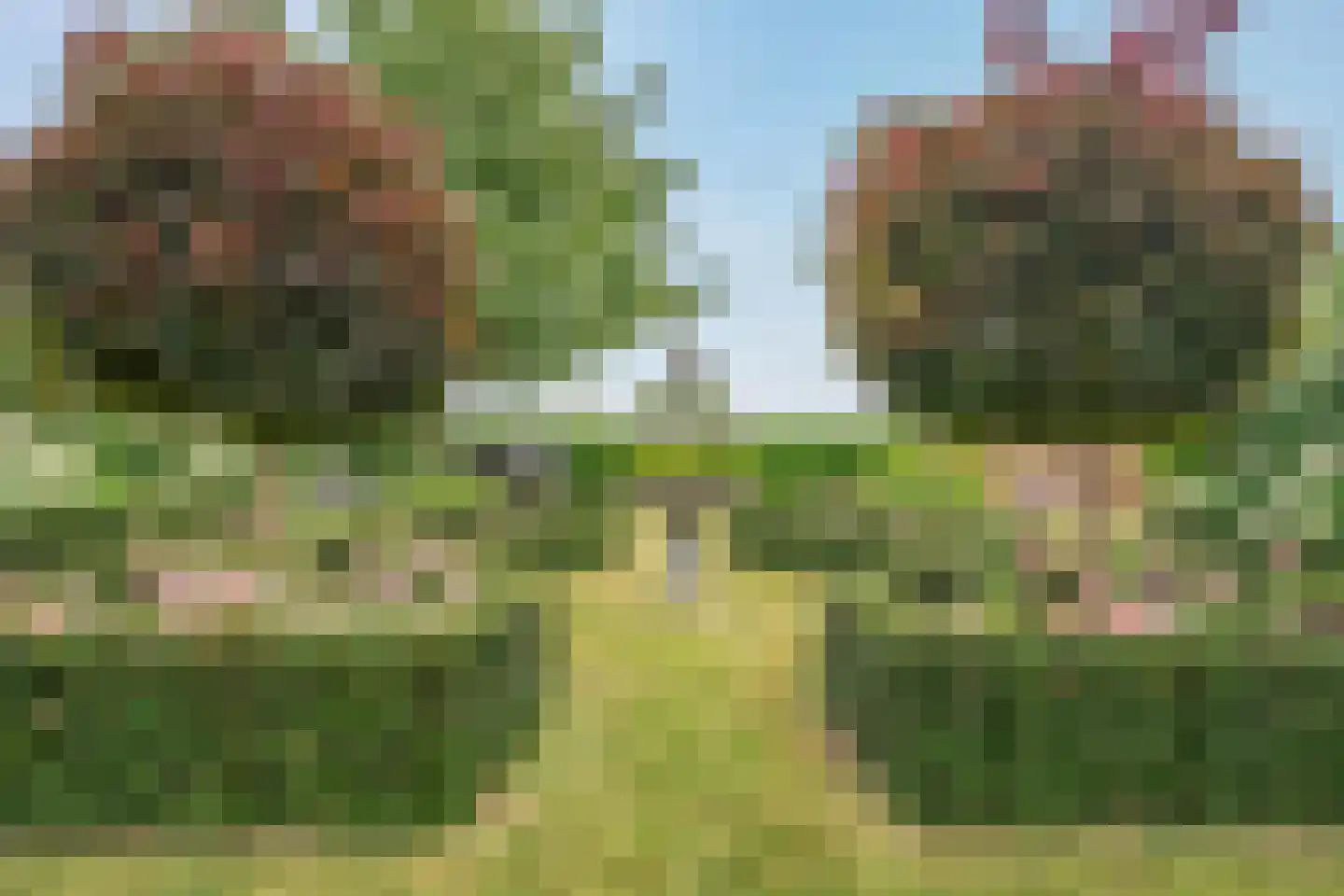 Wirdumerweg 63 Wirdum thumbnail 68