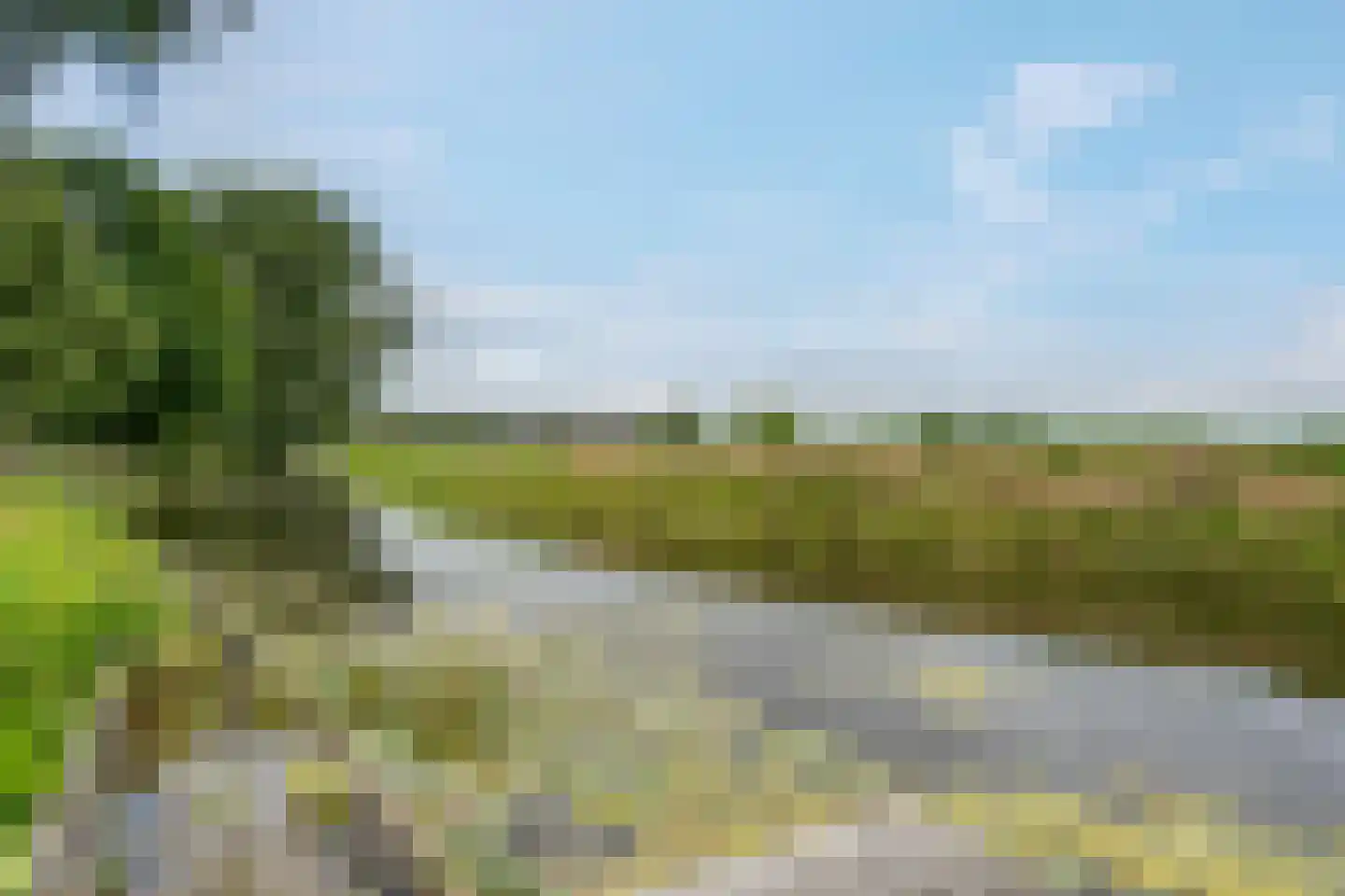 Wirdumerweg 63 Wirdum thumbnail 73