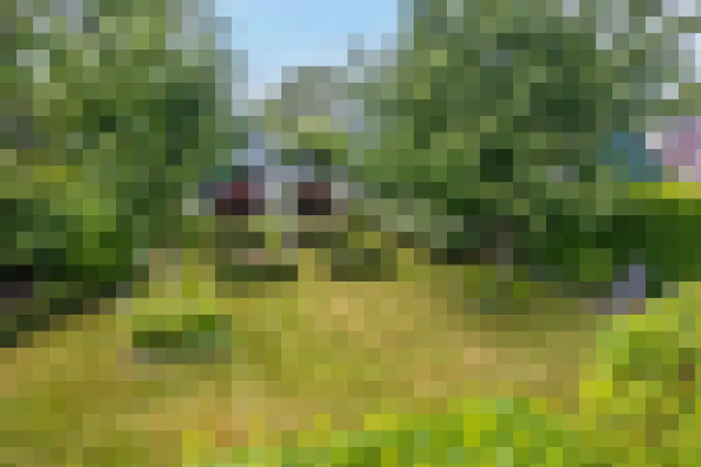 Wirdumerweg 63 Wirdum thumbnail 78