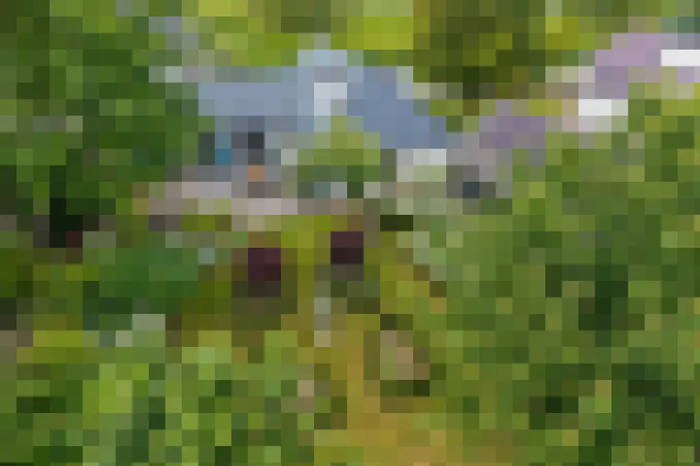Wirdumerweg 63 Wirdum thumbnail 79
