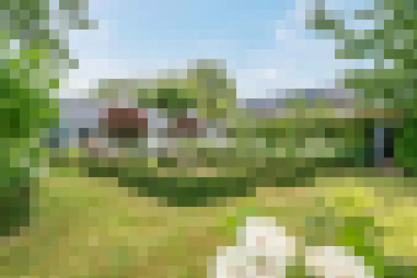 Wirdumerweg 63 Wirdum thumbnail 8